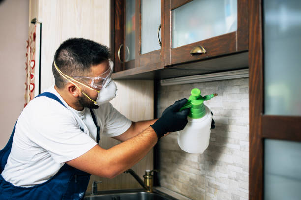 Best Emergency Pest Control  in Pinetop Lakeside, AZ