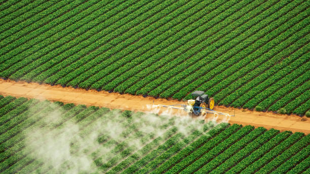 Best Pest Control Treatment  in Pinetop Lakeside, AZ